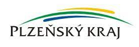 plk1
