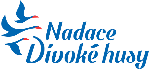 divoke husy